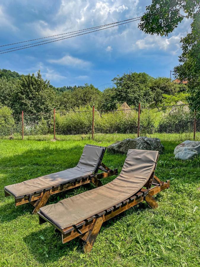 Transylvania Mountain View Cdi Bran  Exterior foto