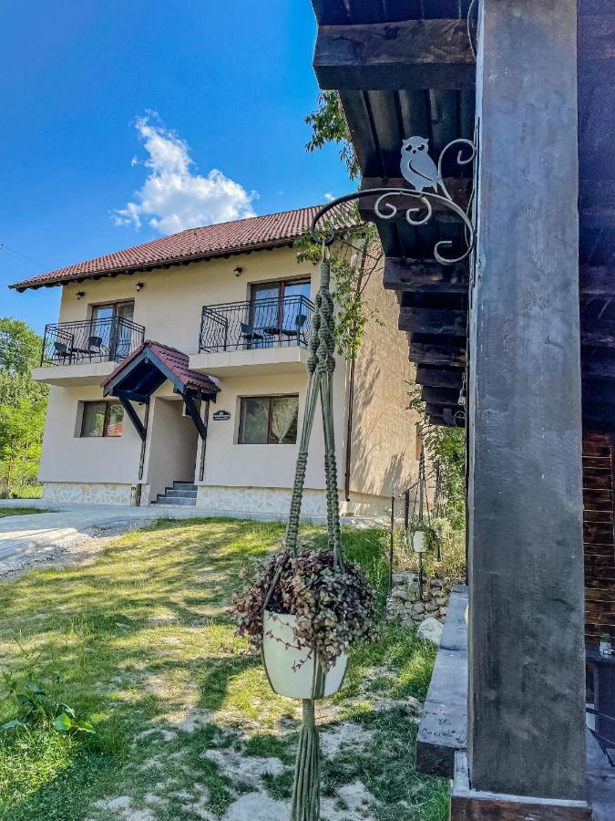 Transylvania Mountain View Cdi Bran  Exterior foto